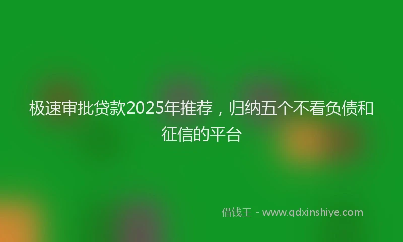 极速审批贷款2025年推荐，归纳五个不看负债和征信的平台