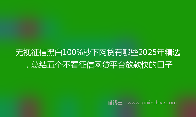 无视征信黑白100%秒下网贷有哪些2025年精选，总结五个不看征信网贷平台放款快的口子