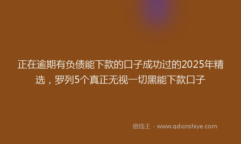 正在逾期有负债能下款的口子成功过的2025年精选，罗列5个真正无视一切黑能下款口子