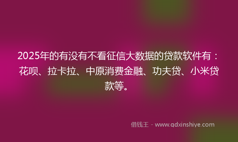 2025年的有没有不看征信大数据的贷款软件有:花呗、拉卡拉、中原消费金融、功夫贷、小米贷款等。