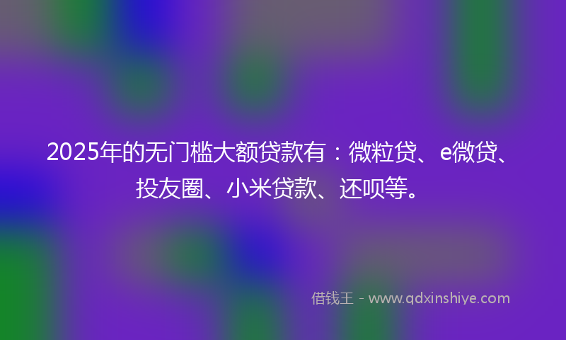 2025年的无门槛大额贷款有：微粒贷、e微贷、投友圈、小米贷款、还呗等。