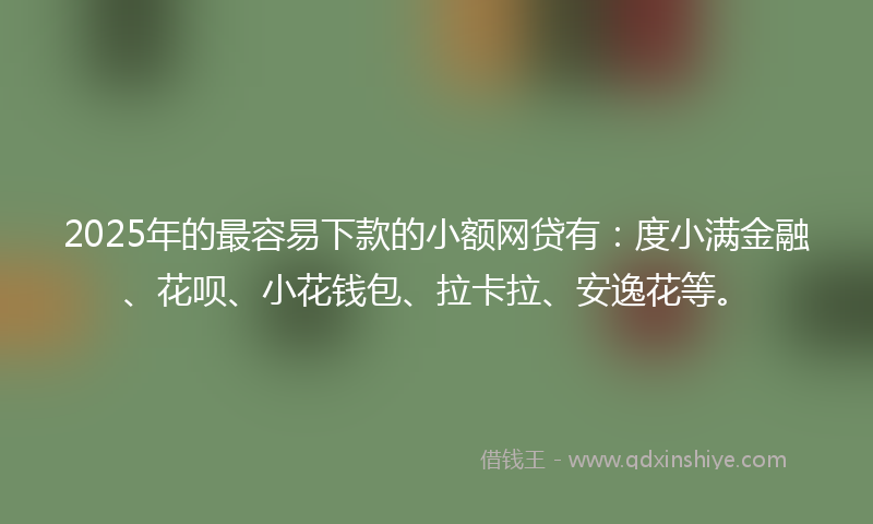 2025年的最容易下款的小额网贷有：度小满金融、花呗、小花钱包、拉卡拉、安逸花等。
