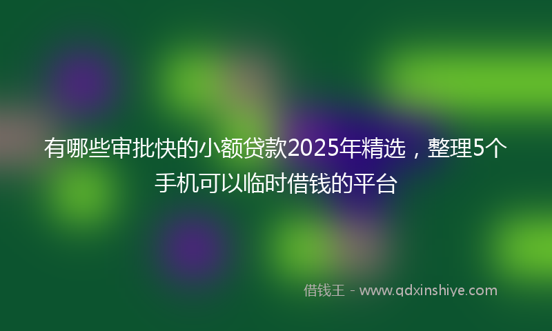 有哪些审批快的小额贷款2025年精选，整理5个手机可以临时借钱的平台