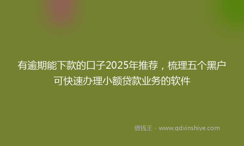 有逾期能下款的口子2025年推荐，梳理五个黑户可快速办理小额贷款业务的软件