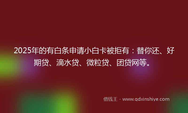 2025年的有白条申请小白卡被拒有：替你还、好期贷、滴水贷、微粒贷、团贷网等。