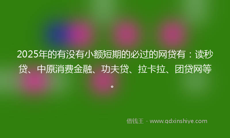 2025年的有没有小额短期的必过的网贷有：读秒贷、中原消费金融、功夫贷、拉卡拉、团贷网等。
