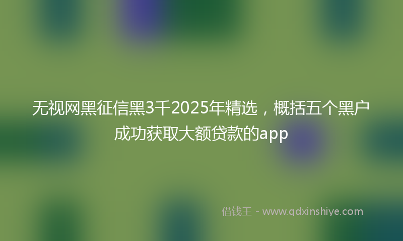 无视网黑征信黑3千2025年精选，概括五个黑户成功获取大额贷款的app