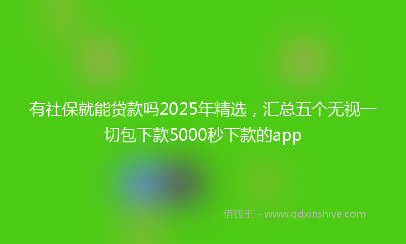 有社保就能贷款吗2025年精选，汇总五个无视一切包下款5000秒下款的app