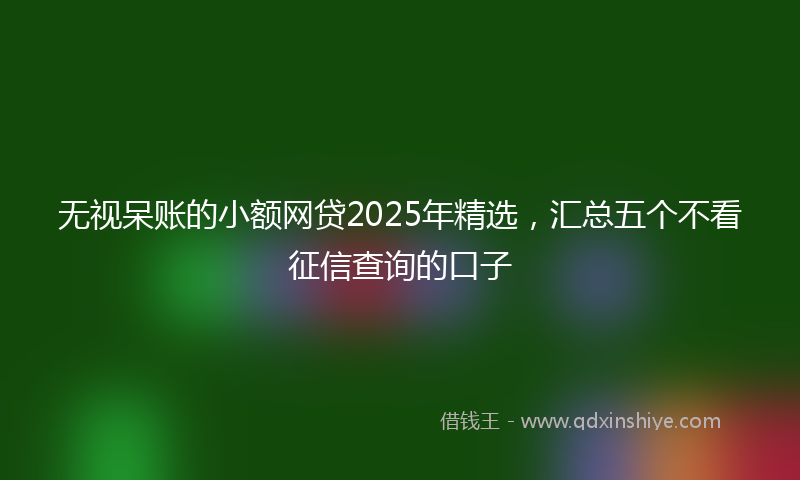 无视呆账的小额网贷2025年精选，汇总五个不看征信查询的口子