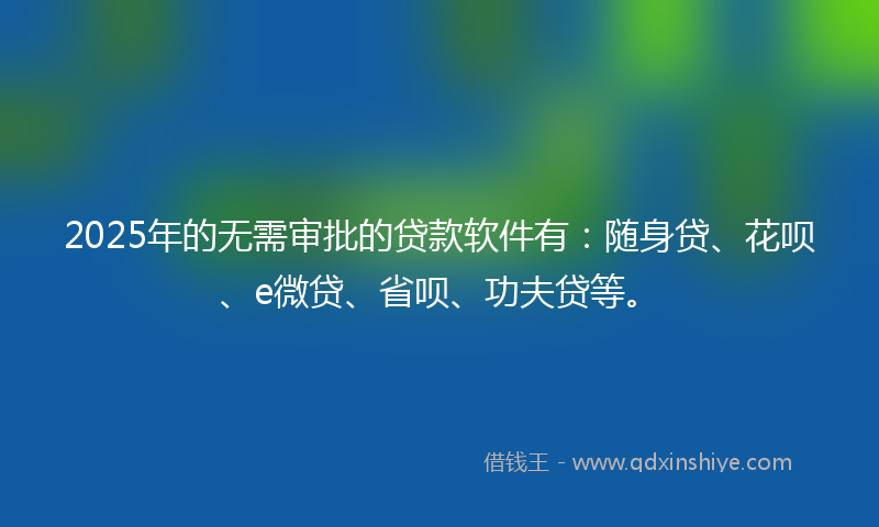 2025年的无需审批的贷款软件有：随身贷、花呗、e微贷、省呗、功夫贷等。