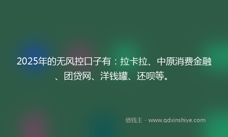 2025年的无风控口子有：拉卡拉、中原消费金融、团贷网、洋钱罐、还呗等。