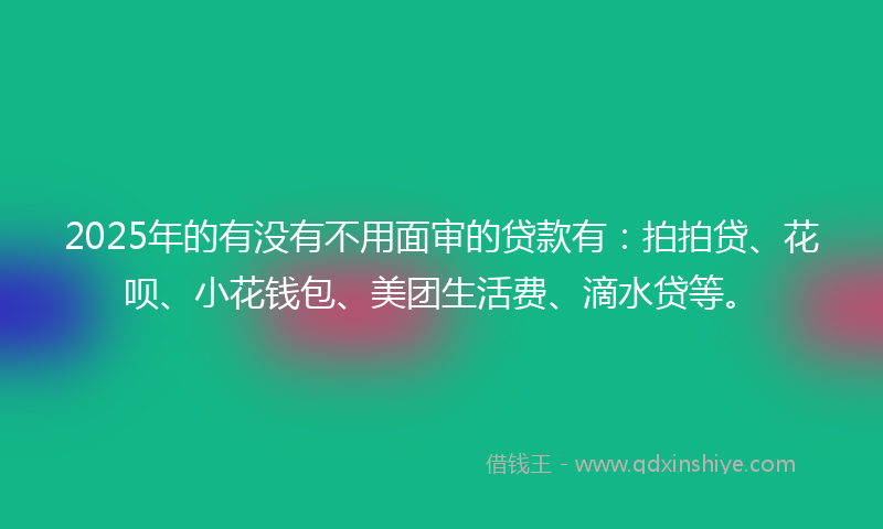 2025年的有没有不用面审的贷款有：拍拍贷、花呗、小花钱包、美团生活费、滴水贷等。