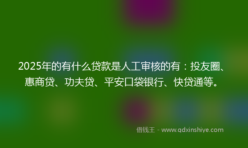 2025年的有什么贷款是人工审核的有：投友圈、惠商贷、功夫贷、平安口袋银行、快贷通等。