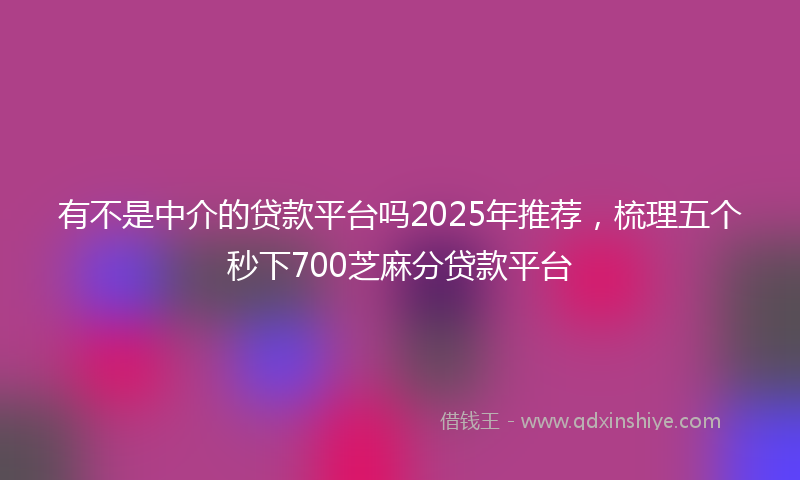 有不是中介的贷款平台吗2025年推荐，梳理五个秒下700芝麻分贷款平台