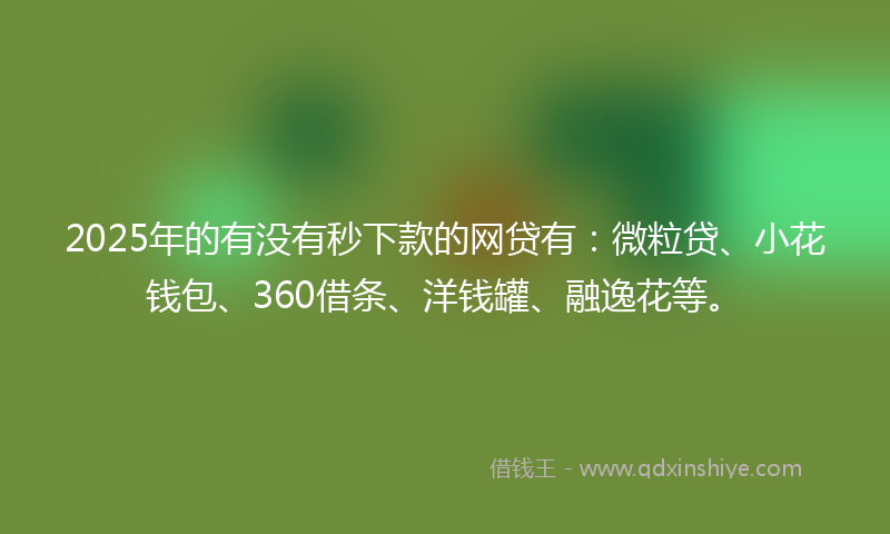 2025年的有没有秒下款的网贷有：微粒贷、小花钱包、360借条、洋钱罐、融逸花等。