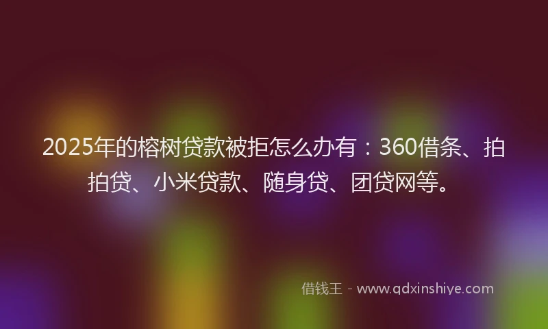 2025年的榕树贷款被拒怎么办有：360借条、拍拍贷、小米贷款、随身贷、团贷网等。