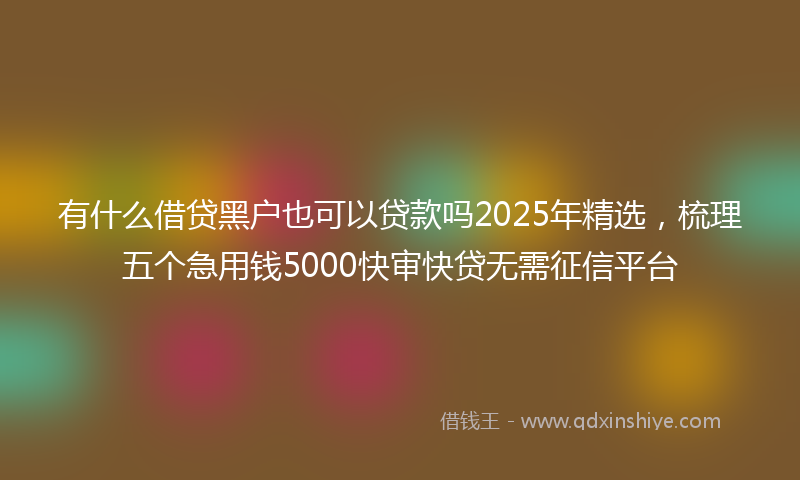 有什么借贷黑户也可以贷款吗2025年精选，梳理五个急用钱5000快审快贷无需征信平台