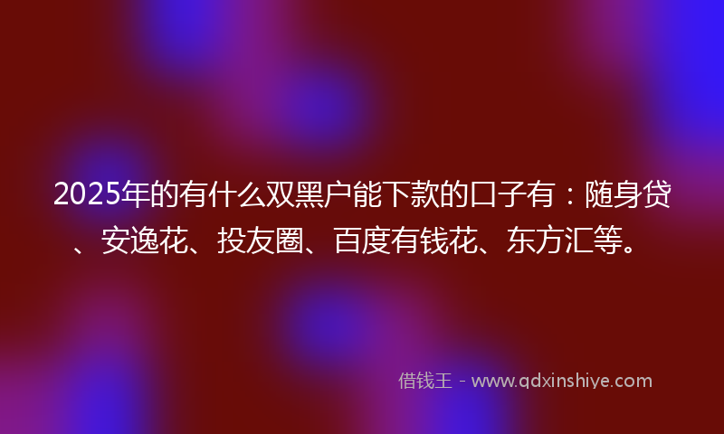 2025年的有什么双黑户能下款的口子有：随身贷、安逸花、投友圈、百度有钱花、东方汇等。
