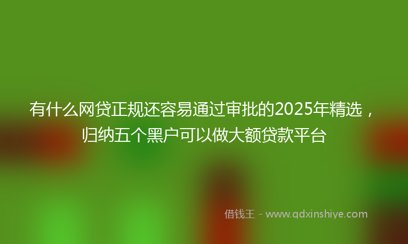 有什么网贷正规还容易通过审批的2025年精选，归纳五个黑户可以做大额贷款平台