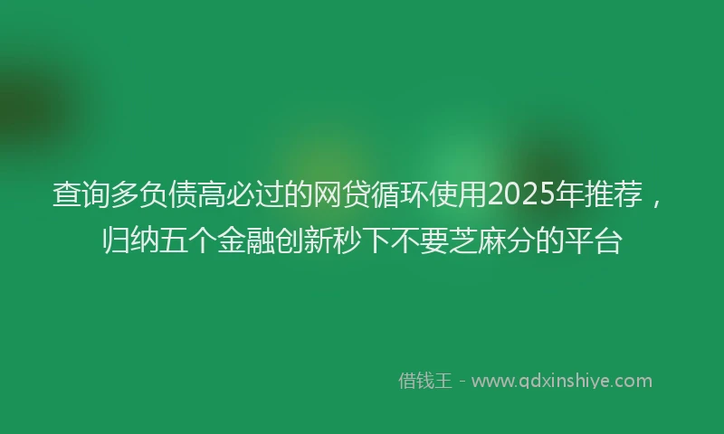 查询多负债高必过的网贷循环使用2025年推荐，归纳五个金融创新秒下不要芝麻分的平台