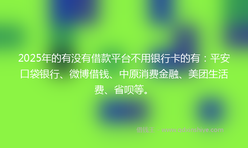 2025年的有没有借款平台不用银行卡的有：平安口袋银行、微博借钱、中原消费金融、美团生活费、省呗等。