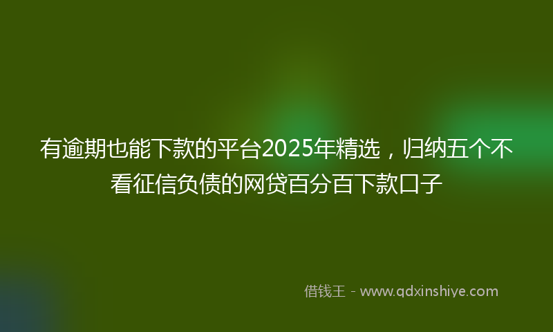 有逾期也能下款的平台2025年精选，归纳五个不看征信负债的网贷百分百下款口子