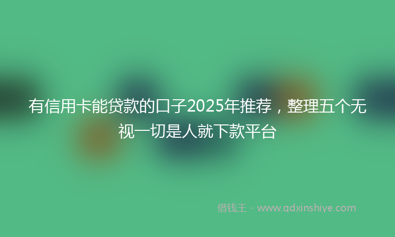有信用卡能贷款的口子2025年推荐，整理五个无视一切是人就下款平台