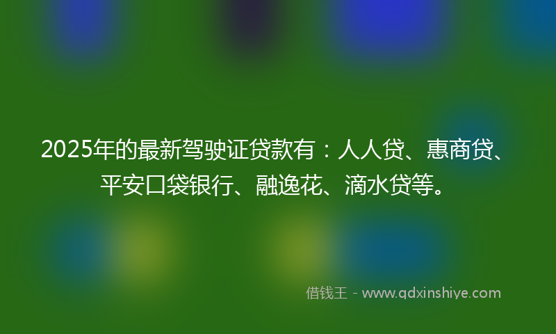 2025年的最新驾驶证贷款有：人人贷、惠商贷、平安口袋银行、融逸花、滴水贷等。