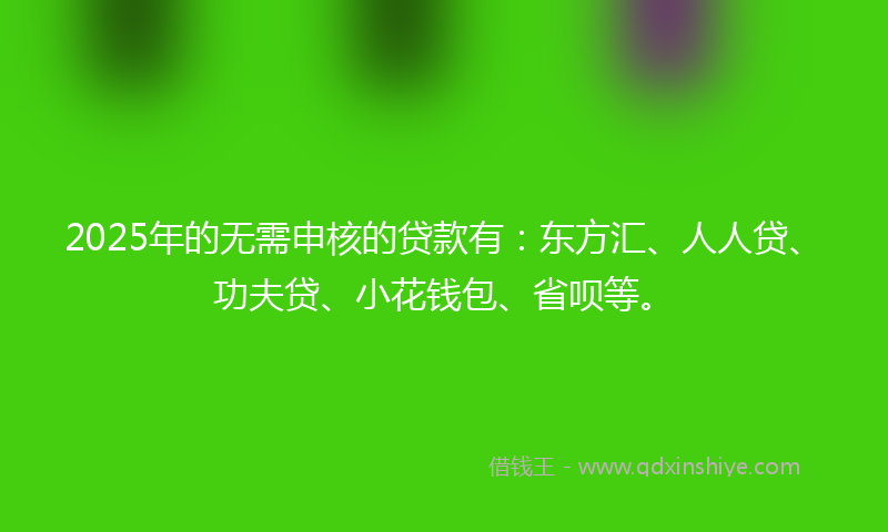 2025年的无需申核的贷款有:东方汇、人人贷、功夫贷、小花钱包、省呗等。