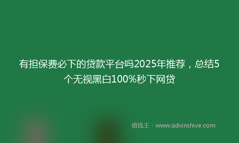 有担保费必下的贷款平台吗2025年推荐，总结5个无视黑白100%秒下网贷