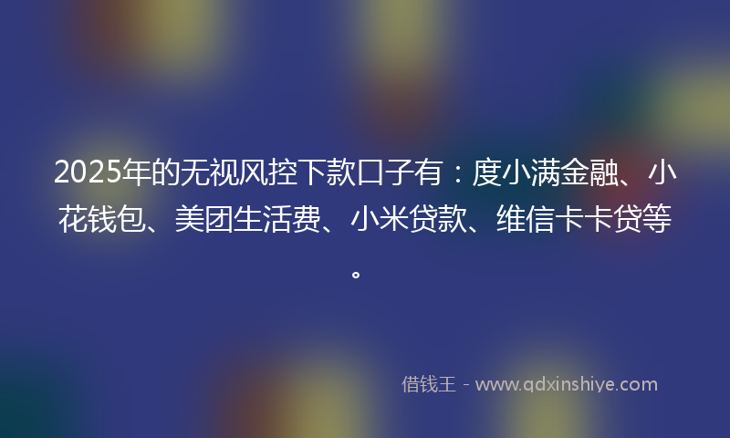 2025年的无视风控下款口子有：度小满金融、小花钱包、美团生活费、小米贷款、维信卡卡贷等。