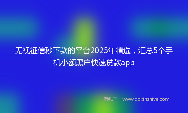 无视征信秒下款的平台2025年精选，汇总5个手机小额黑户快速贷款app