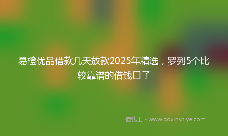 易橙优品借款几天放款2025年精选，罗列5个比较靠谱的借钱口子