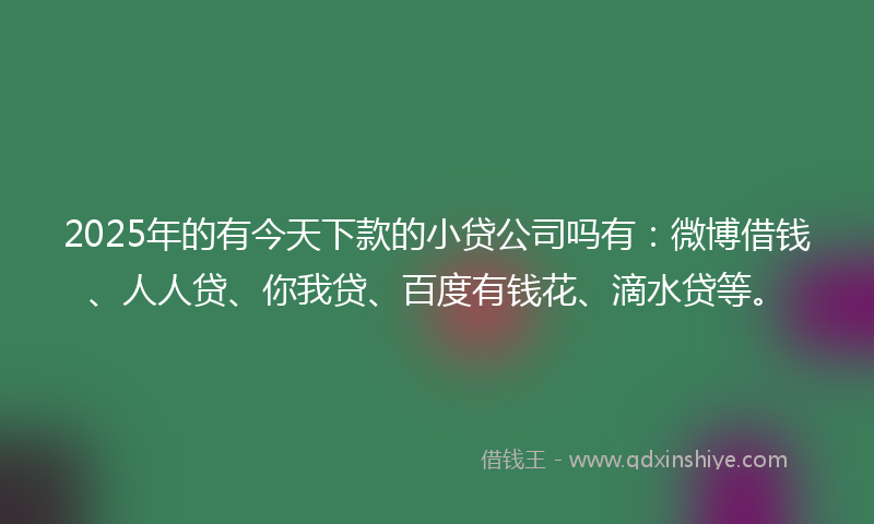 2025年的有今天下款的小贷公司吗有：微博借钱、人人贷、你我贷、百度有钱花、滴水贷等。