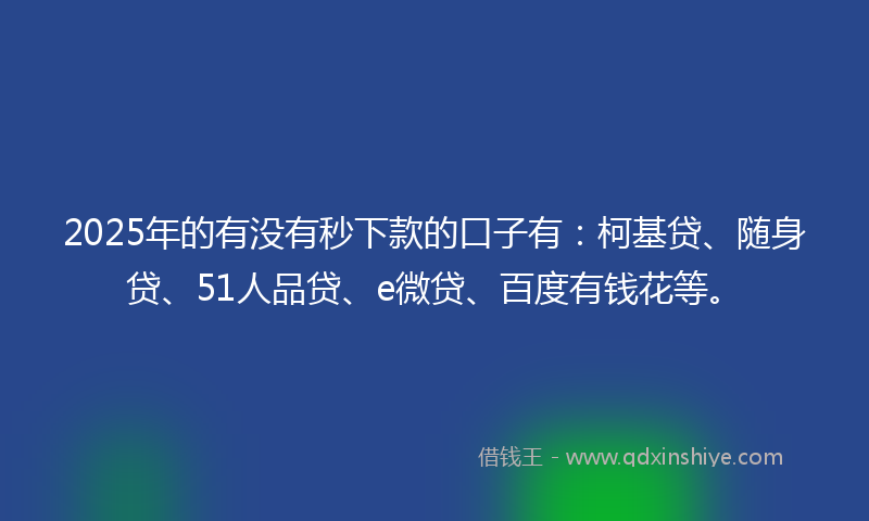 2025年的有没有秒下款的口子有：柯基贷、随身贷、51人品贷、e微贷、百度有钱花等。