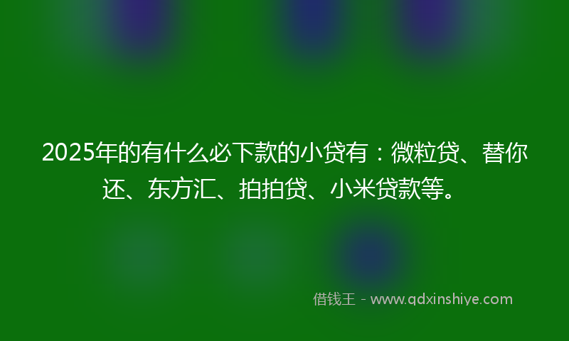 2025年的有什么必下款的小贷有：微粒贷、替你还、东方汇、拍拍贷、小米贷款等。