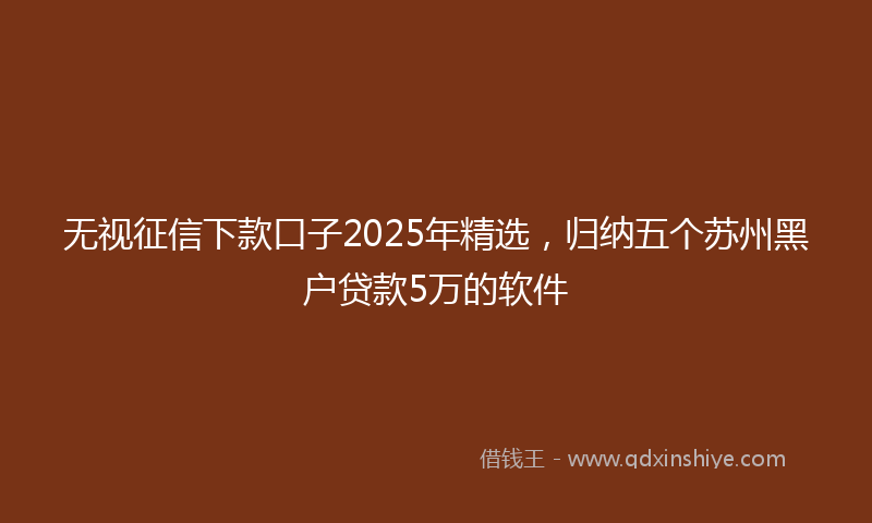 无视征信下款口子2025年精选，归纳五个苏州黑户贷款5万的软件