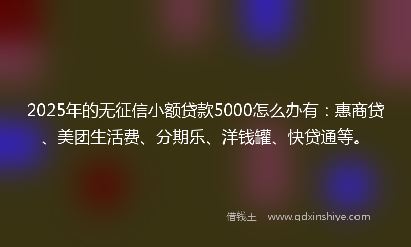 2025年的无征信小额贷款5000怎么办有：惠商贷、美团生活费、分期乐、洋钱罐、快贷通等。