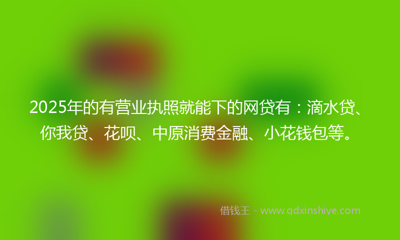 2025年的有营业执照就能下的网贷有：滴水贷、你我贷、花呗、中原消费金融、小花钱包等。