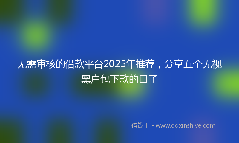 无需审核的借款平台2025年推荐，分享五个无视黑户包下款的口子