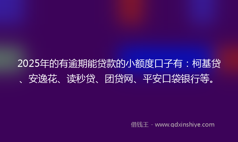 2025年的有逾期能贷款的小额度口子有：柯基贷、安逸花、读秒贷、团贷网、平安口袋银行等。