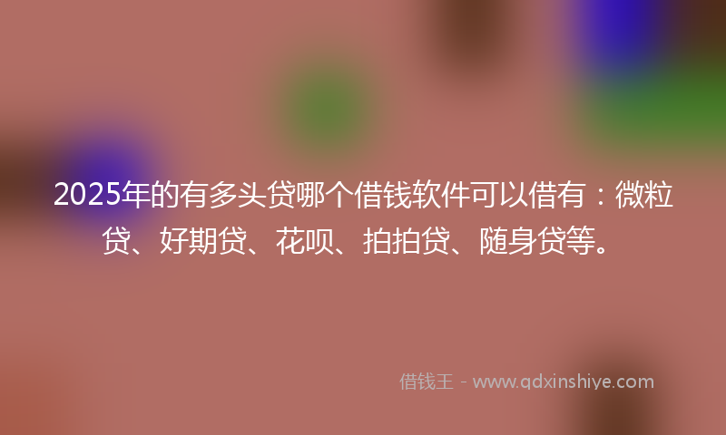 2025年的有多头贷哪个借钱软件可以借有：微粒贷、好期贷、花呗、拍拍贷、随身贷等。