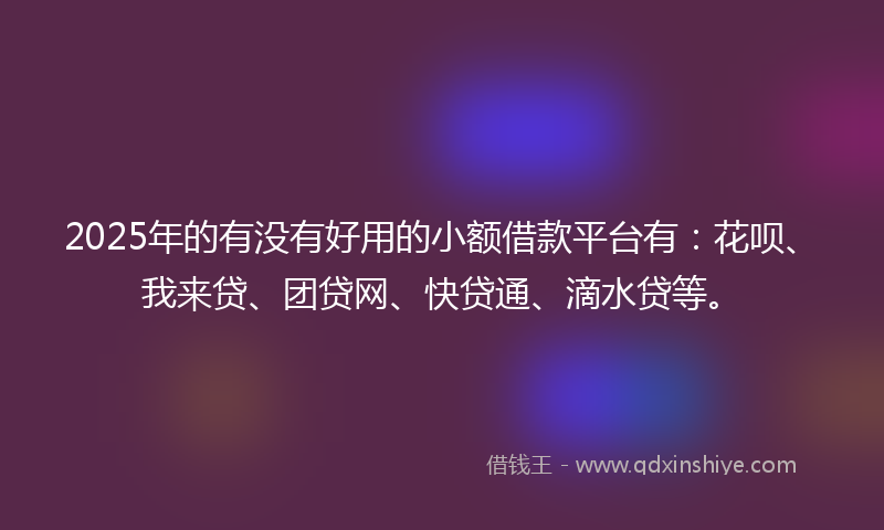 2025年的有没有好用的小额借款平台有：花呗、我来贷、团贷网、快贷通、滴水贷等。