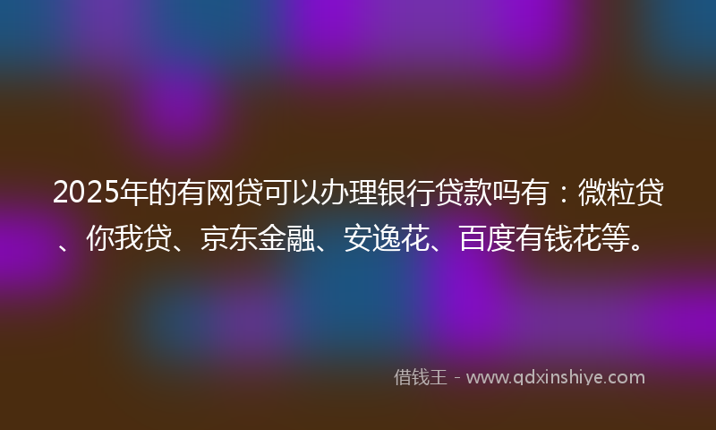 2025年的有网贷可以办理银行贷款吗有：微粒贷、你我贷、京东金融、安逸花、百度有钱花等。