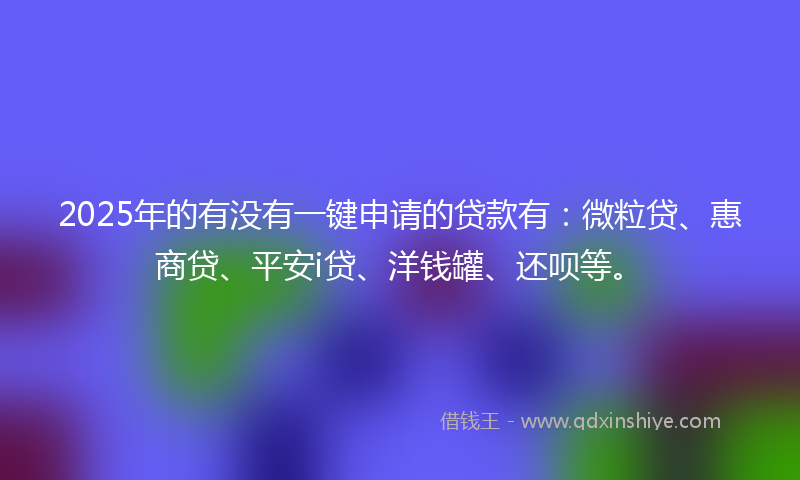 2025年的有没有一键申请的贷款有：微粒贷、惠商贷、平安i贷、洋钱罐、还呗等。