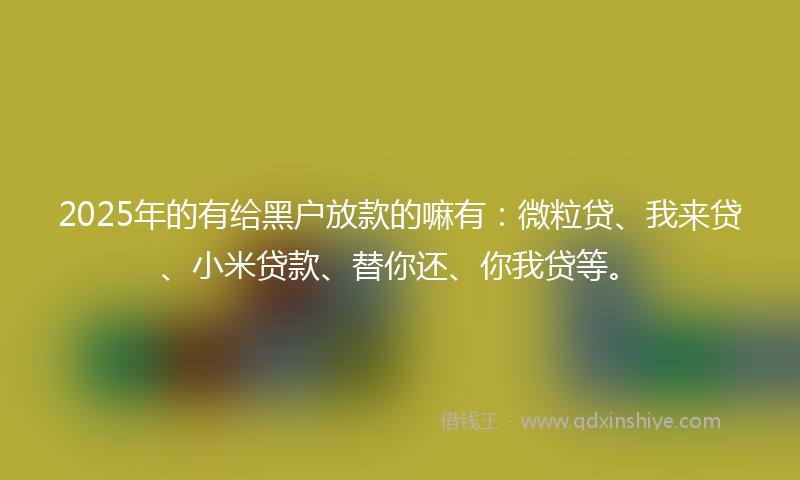 2025年的有给黑户放款的嘛有：微粒贷、我来贷、小米贷款、替你还、你我贷等。