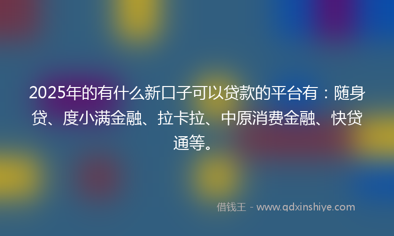2025年的有什么新口子可以贷款的平台有：随身贷、度小满金融、拉卡拉、中原消费金融、快贷通等。