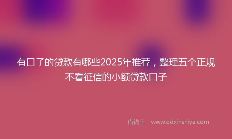 有口子的贷款有哪些2025年推荐，整理五个正规不看征信的小额贷款口子