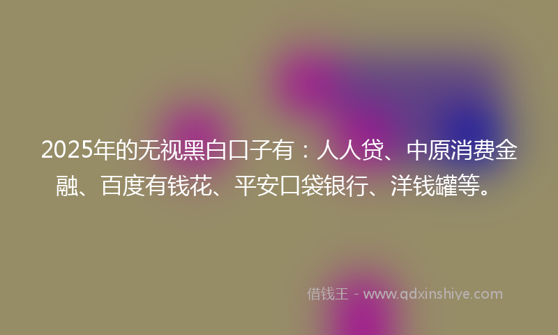 2025年的无视黑白口子有：人人贷、中原消费金融、百度有钱花、平安口袋银行、洋钱罐等。
