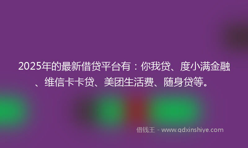 2025年的最新借贷平台有：你我贷、度小满金融、维信卡卡贷、美团生活费、随身贷等。